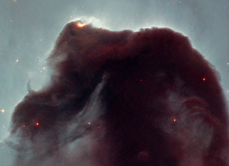 Illustration for article titled The Horsehead Nebula gets a reboot